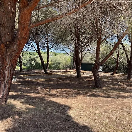 Appartamento Avec Piscine Florent - Flo300-259 Saint-Florent (Corsica)