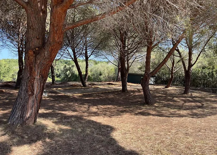 Appartement Avec Piscine Florent - Flo300-259 Saint-Florent (Corsica)